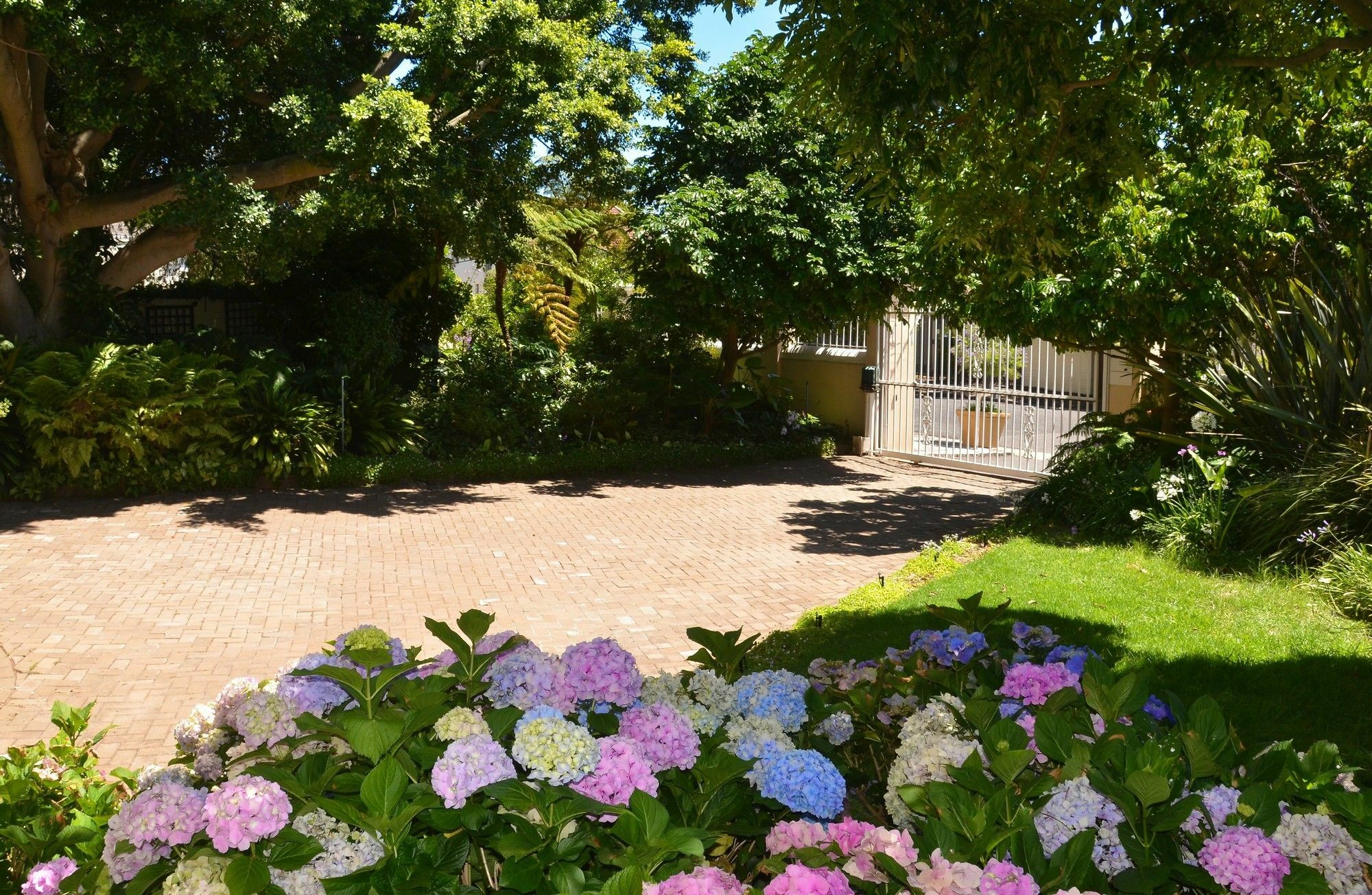 Medindi Manor Hotel Cape Town Exterior photo